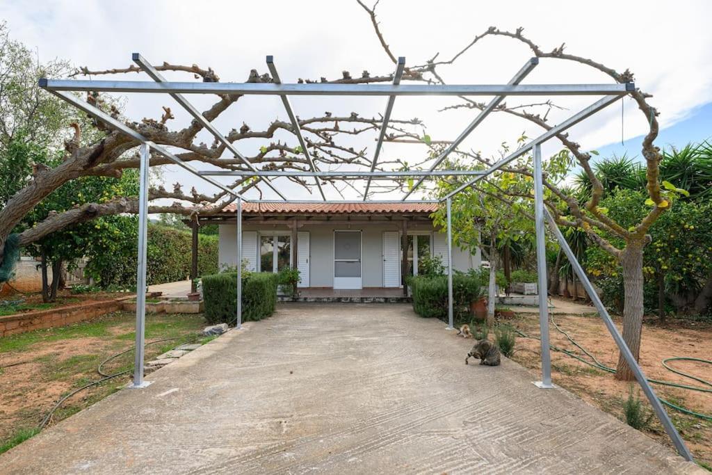 Vila Farmbill Markópoulon Exteriér fotografie
